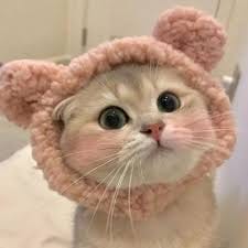 มารี เบรินเนอร์ avatar